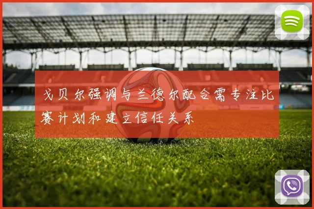 戈贝尔强调与兰德尔配合需专注比赛计划和建立信任关系