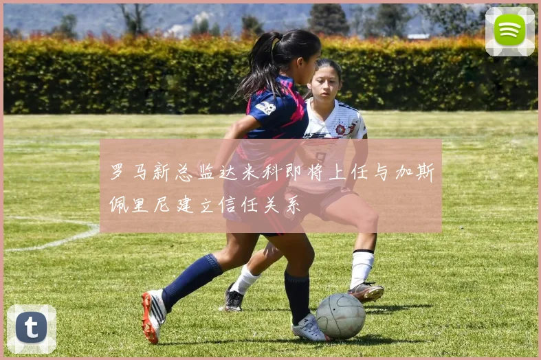 罗马新总监达米科即将上任与加斯佩里尼建立信任关系